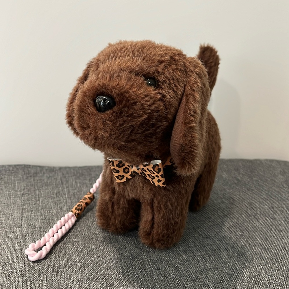 American girl, black lab puppy with collar and leash